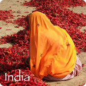 India Button Graphic Volunteer in India