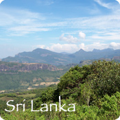 Sri Lanka Button Graphic Volunteer in Sri Lanka