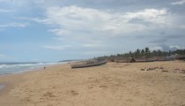 2010 : Kerala
