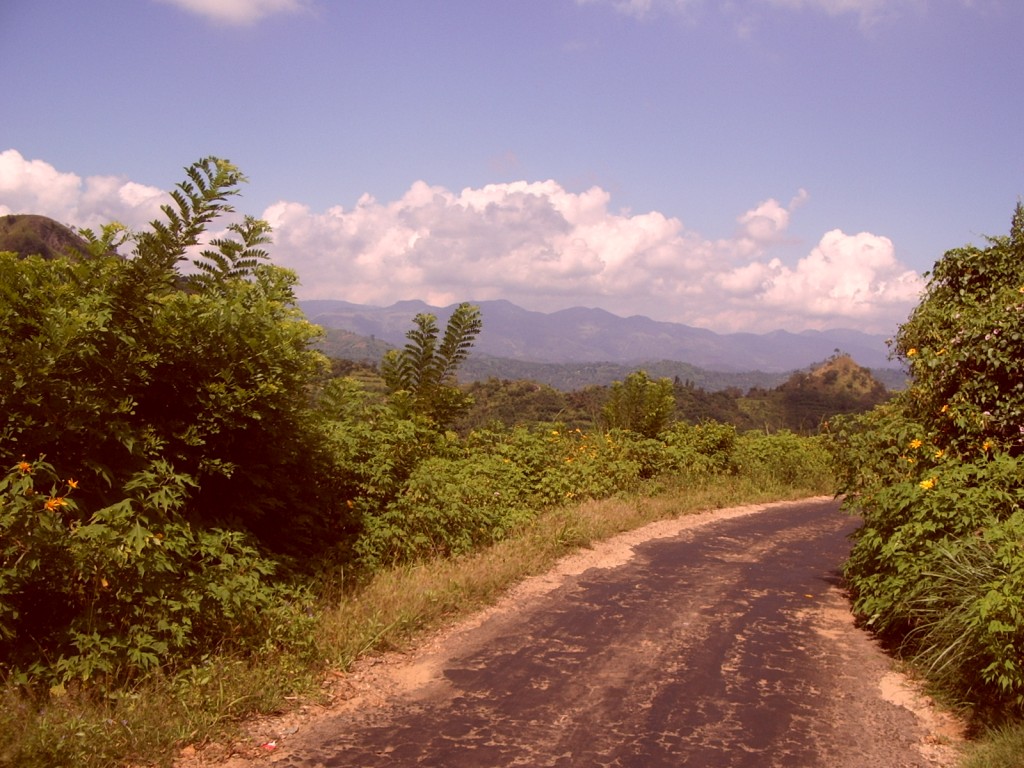 Hill Country, Central Sri Lanka, 2005