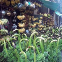 How Many Bananas? Thailand, 2011 (by Thomas Grunwell)