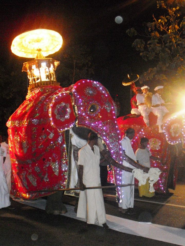 Kandian Drummers, Sri Lanka, 2011