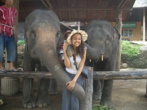 Taz with elephants