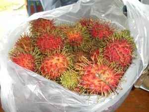 Rambutan